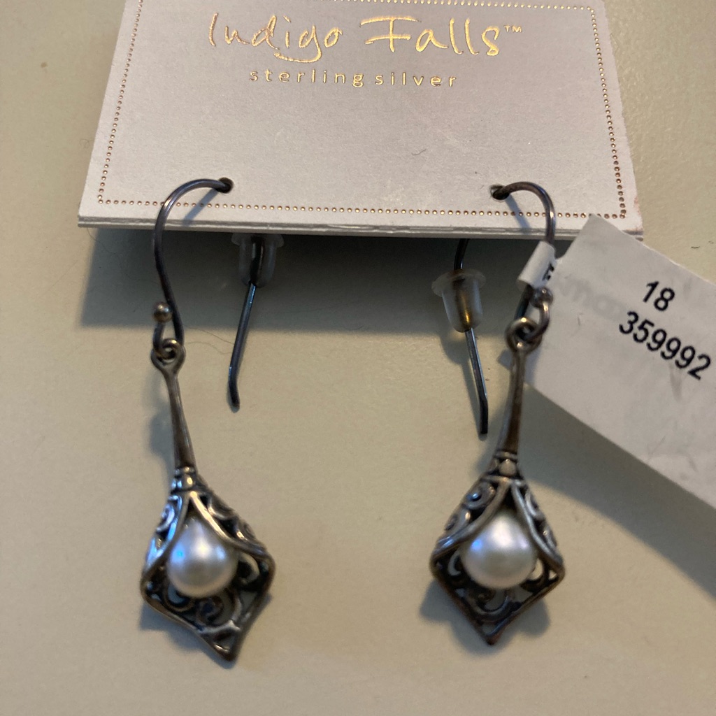 Beautiful Earrings - Never Worn